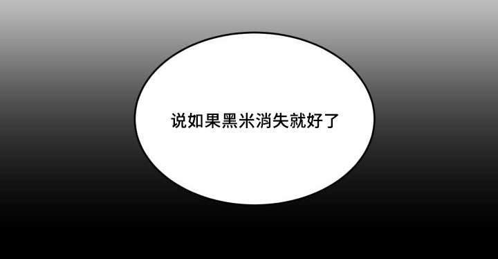 猫的项圈第42话图