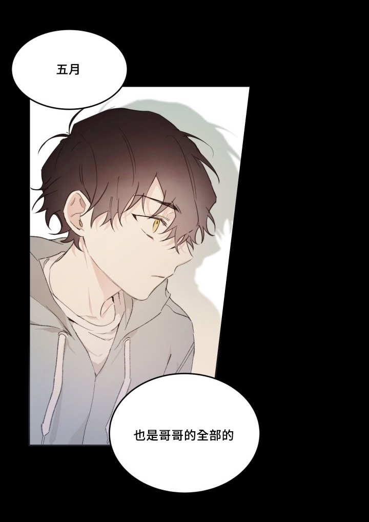 猫的项圈第42话图