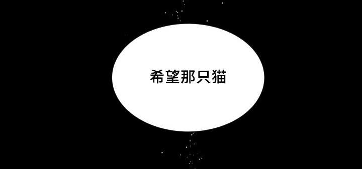 猫的项圈第43话图