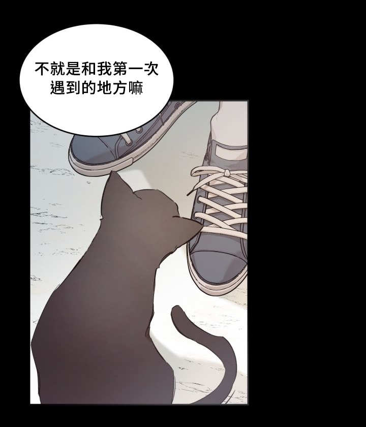 猫的项圈第43话图