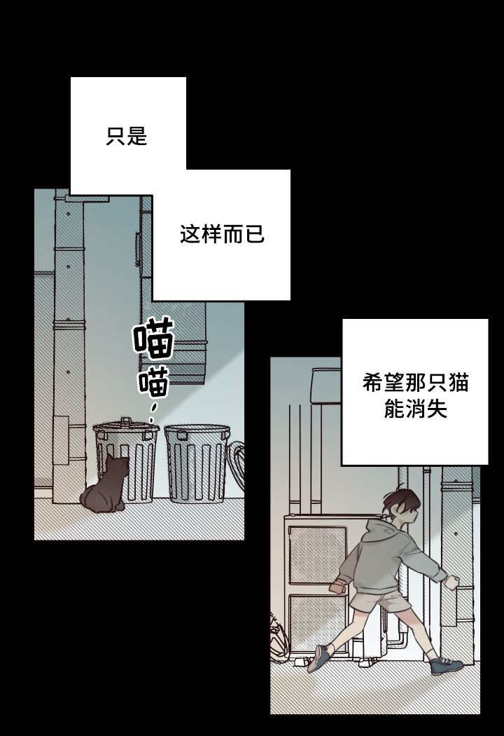 猫的项圈第43话图