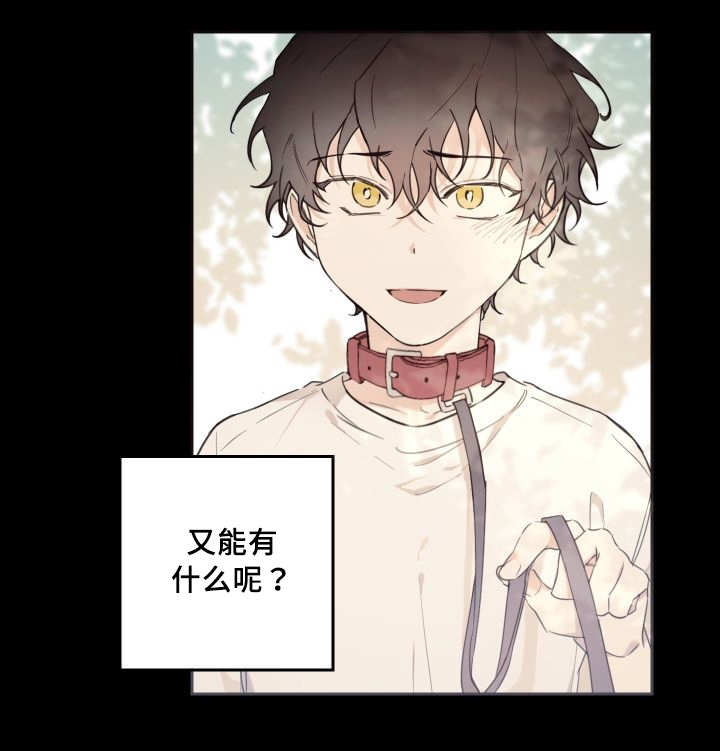 猫的项圈第43话图