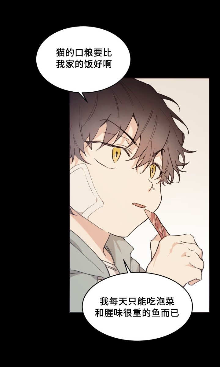 猫的项圈第43话图