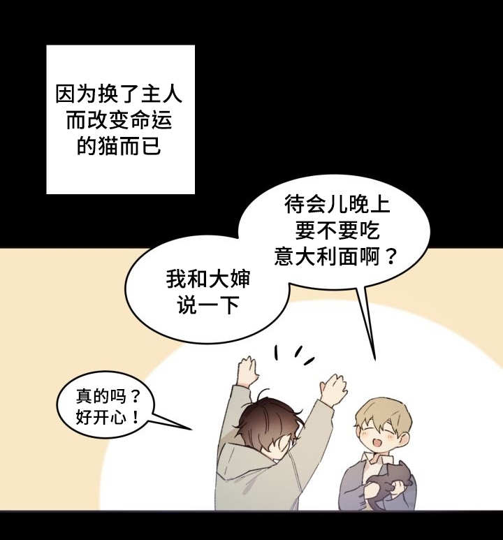 猫的项圈第44话图