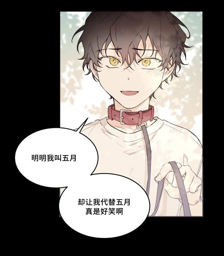 猫的项圈第44话图