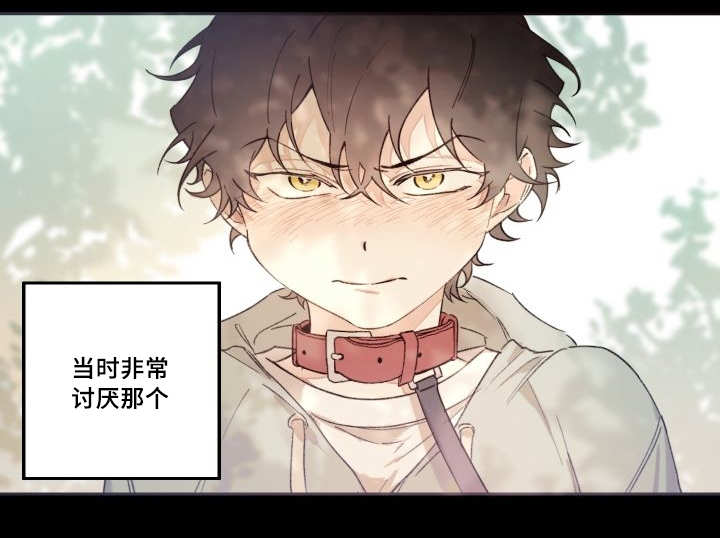 猫的项圈第44话图