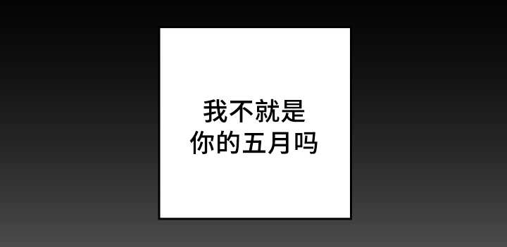 猫的项圈第44话图