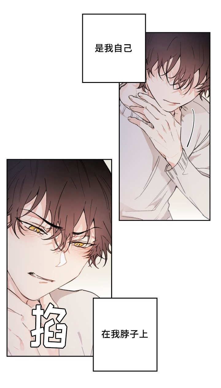 猫的项圈第44话图