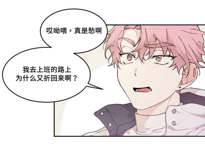 猫的项圈第44话图