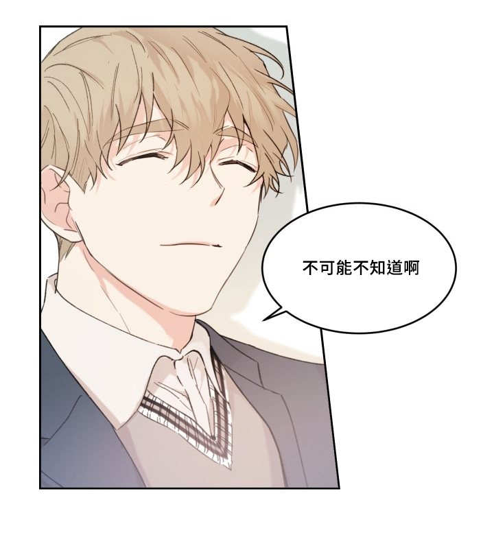 猫的项圈第45话图