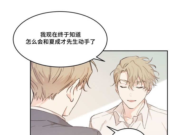 猫的项圈第45话图