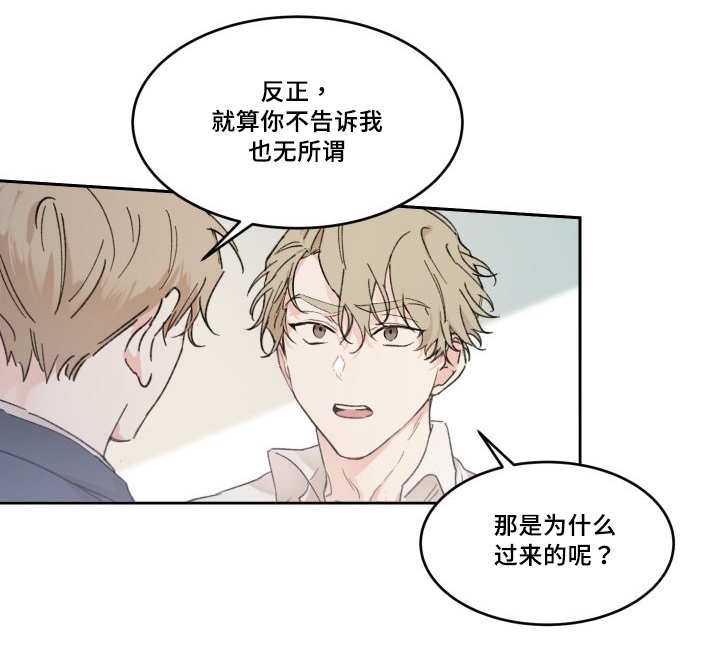 猫的项圈第45话图