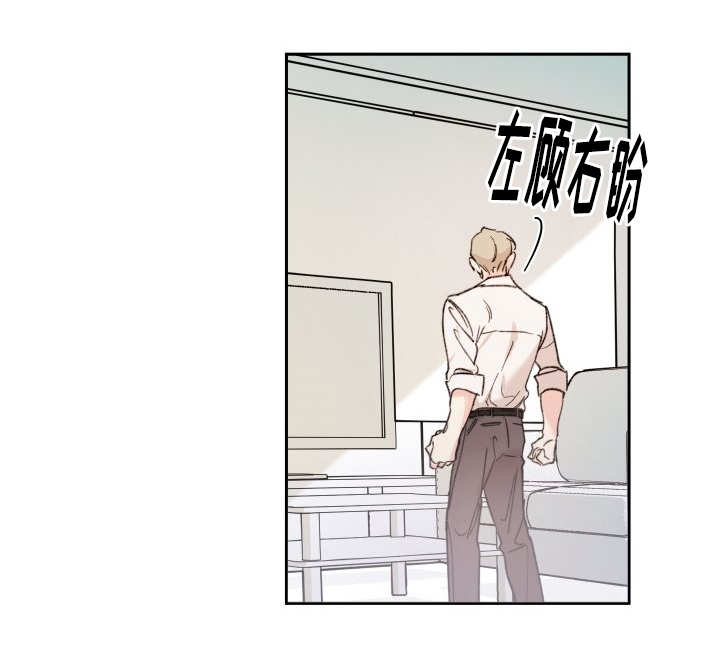 猫的项圈第45话图