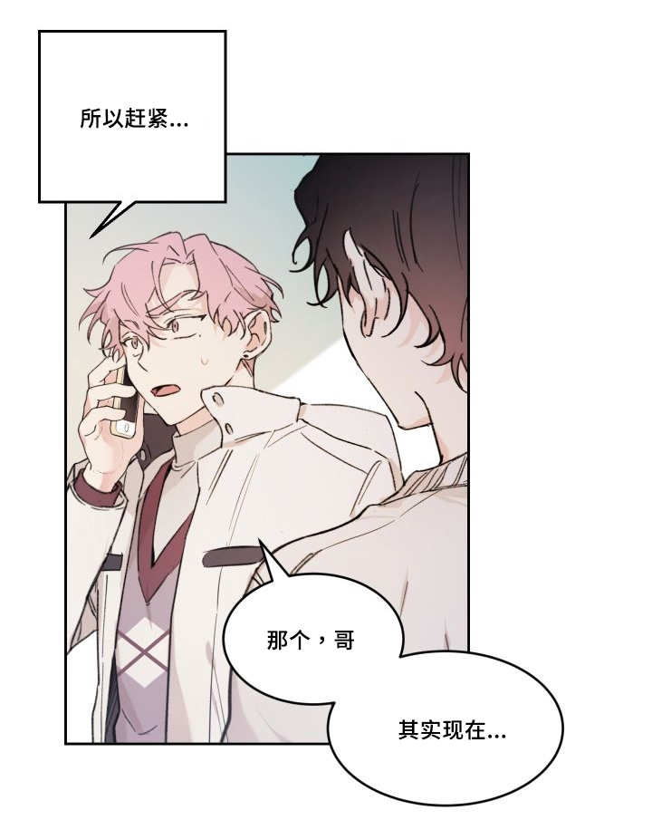 猫的项圈第45话图