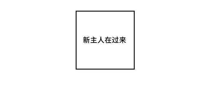 猫的项圈第45话图