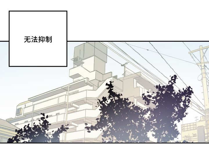 猫的项圈第45话图