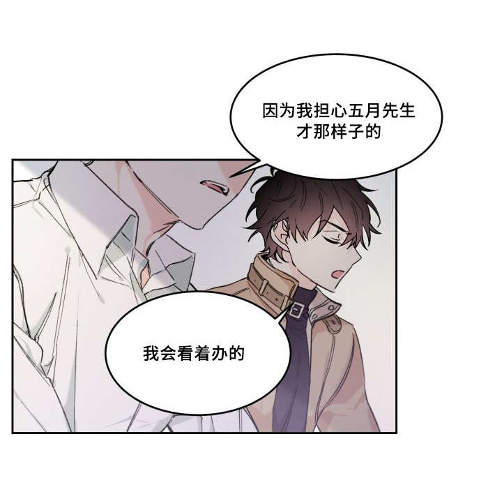 猫的项圈第46话图