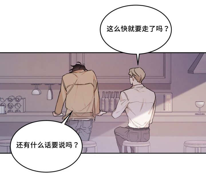 猫的项圈第46话图