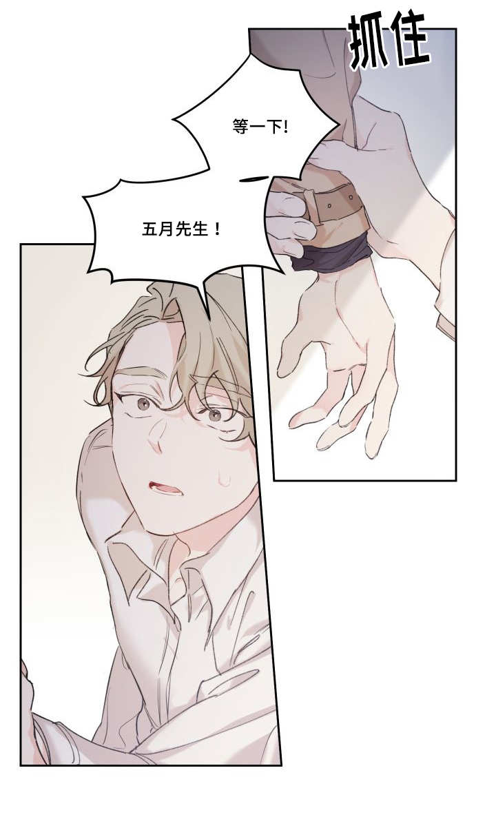 猫的项圈第46话图