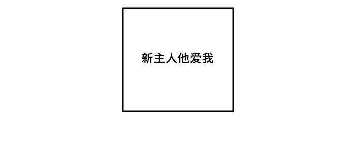 猫的项圈第46话图