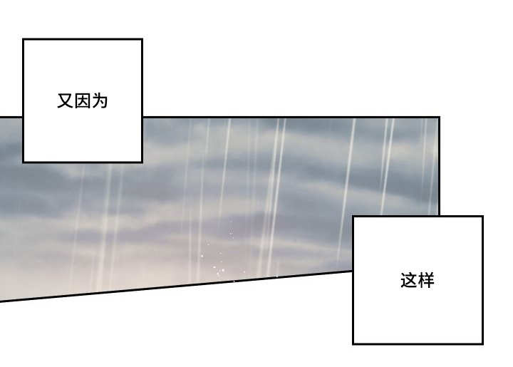 猫的项圈第46话图