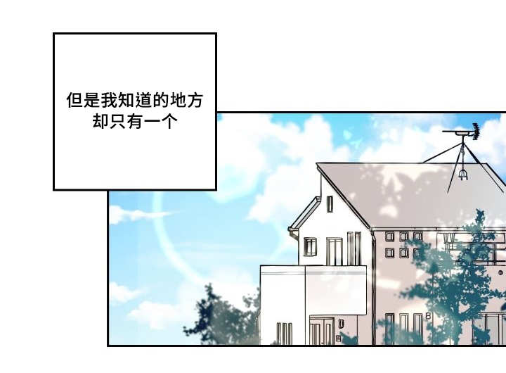 猫的项圈第47话图