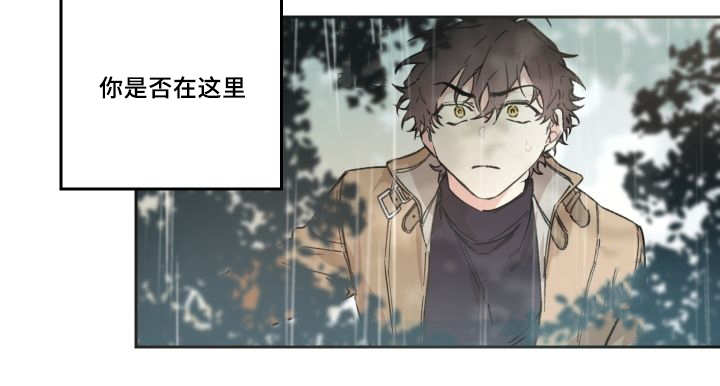 猫的项圈第47话图