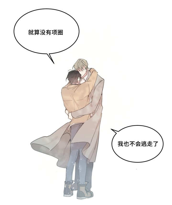 猫的项圈第47话图