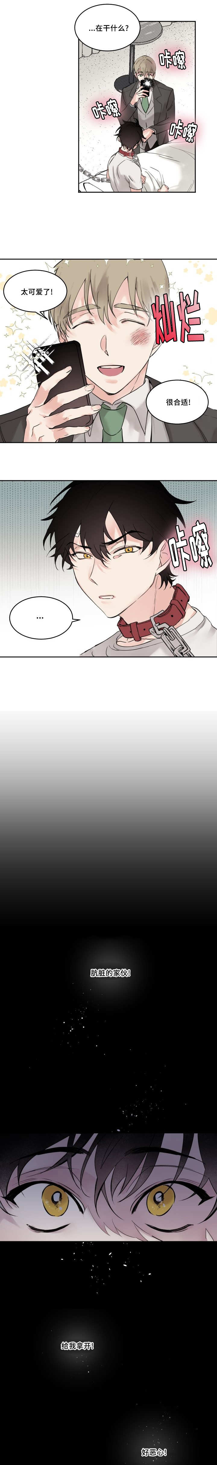 猫的项圈第5话图