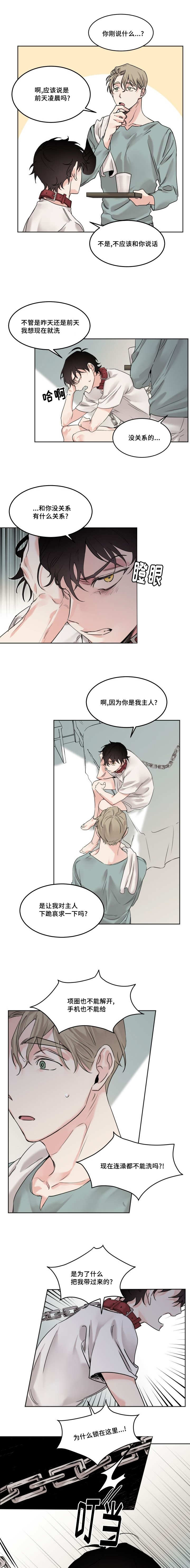 猫的项圈第7话图