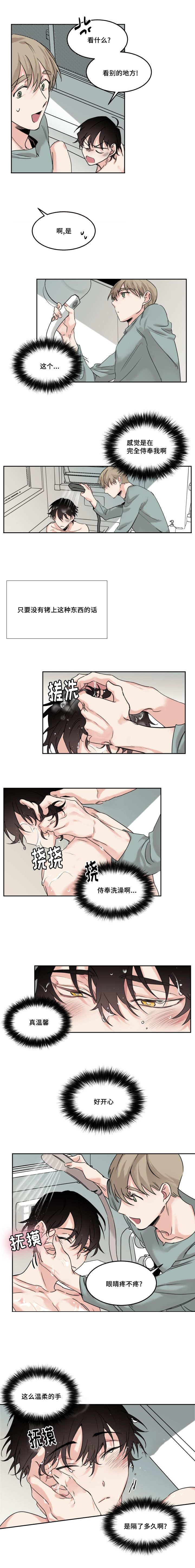 猫的项圈第7话图