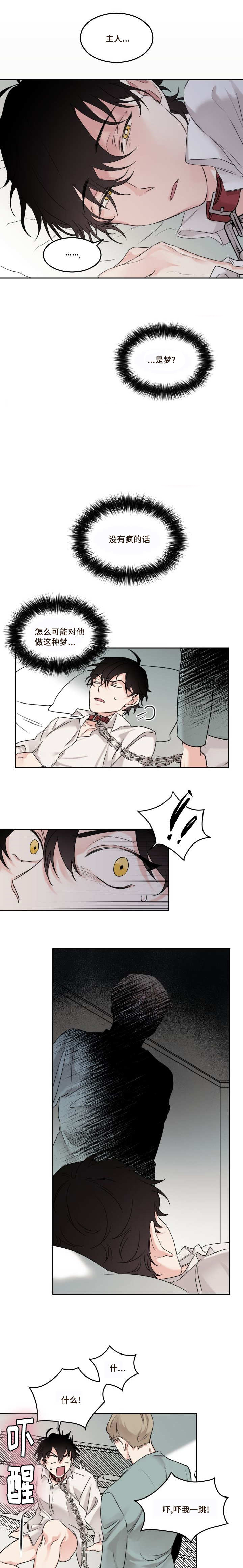 猫的项圈第8话图