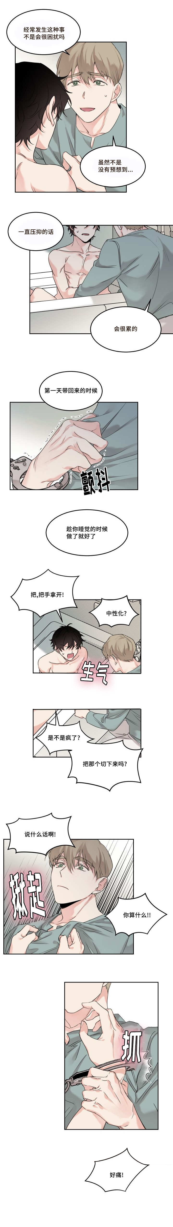 猫的项圈第8话图