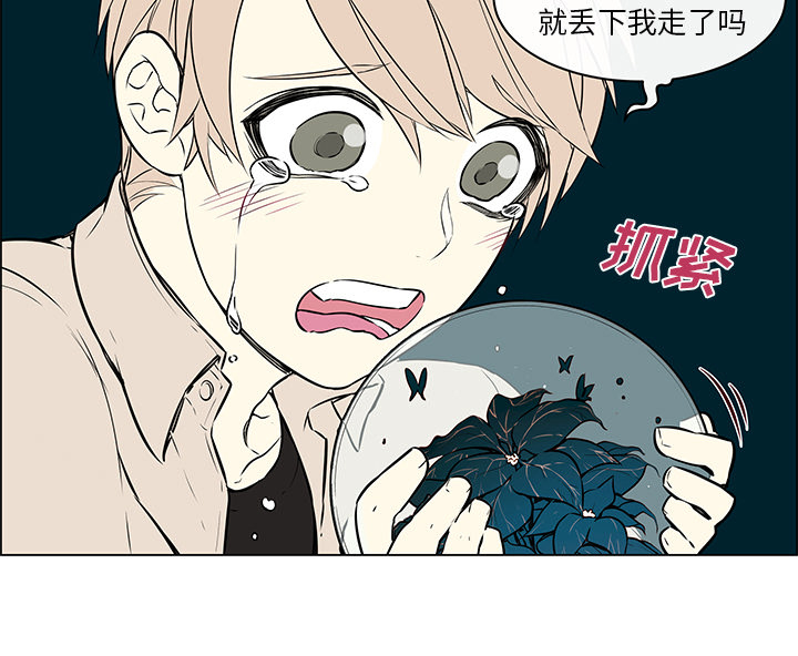 魔王的小鲜肉第36话图