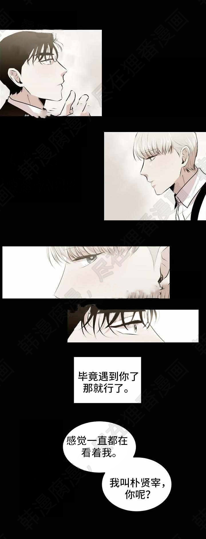 梦的肖像第15话图