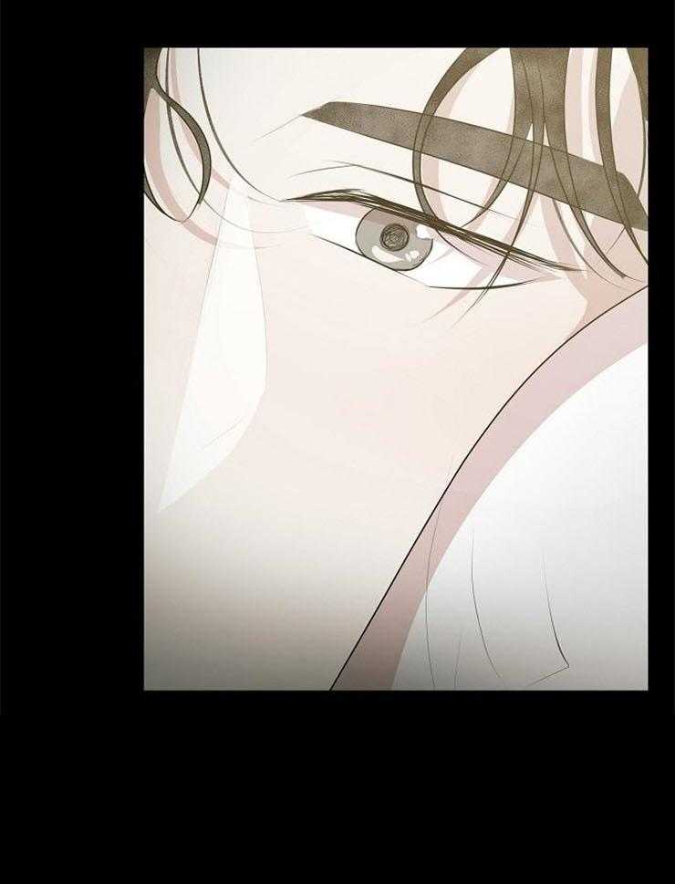 梦的肖像第41话图