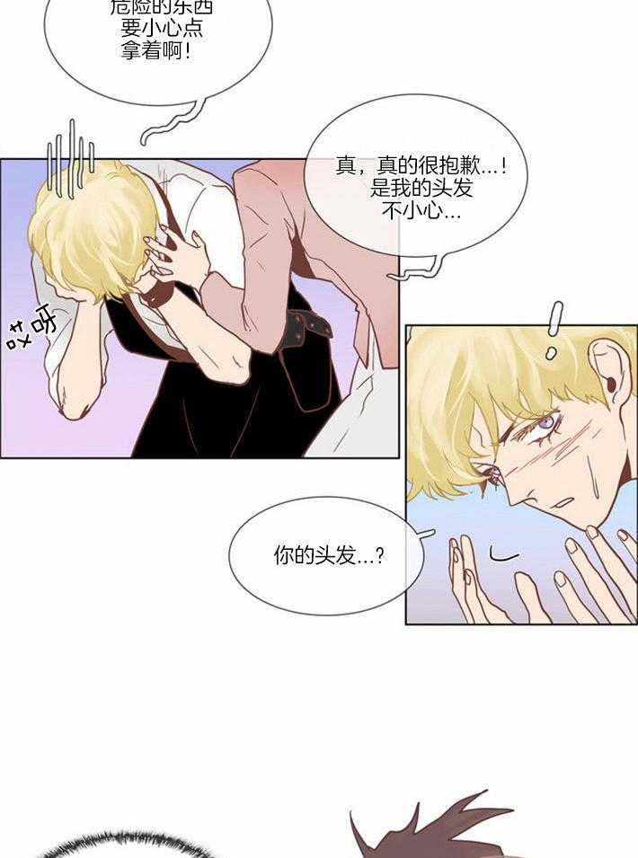 Mr.毛 第1话 第12页