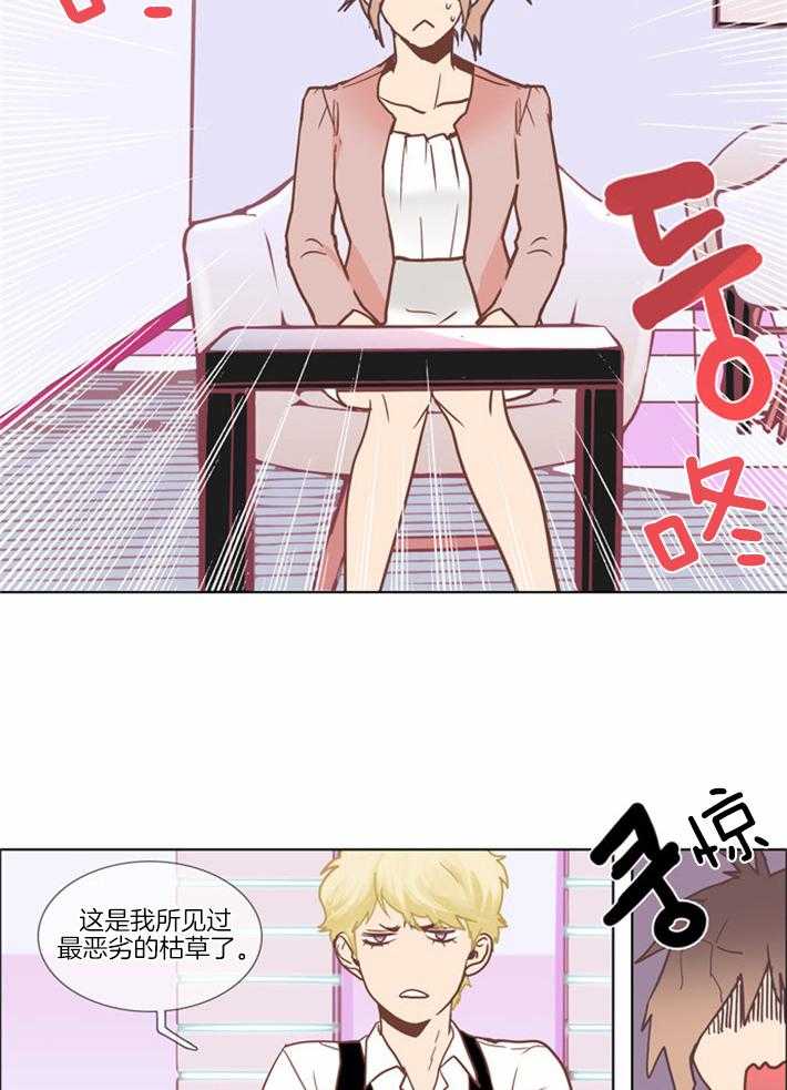 Mr.毛 第2话 第1页