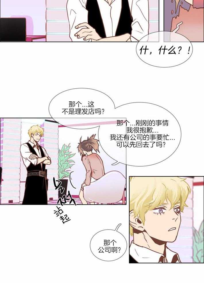 Mr.毛 第2话 第2页