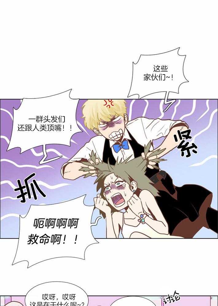 Mr.毛 第8话 第0页