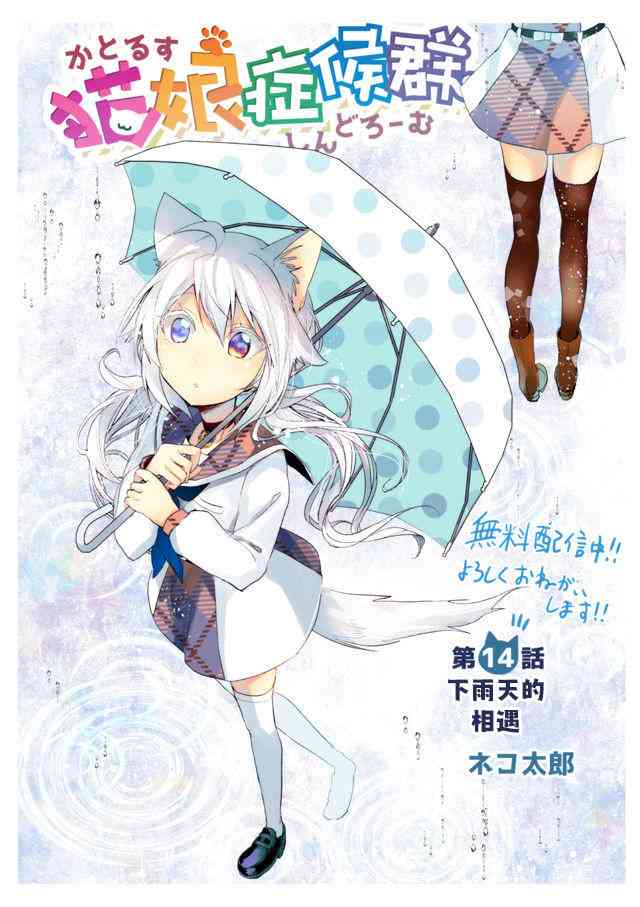 猫娘症候群14话图