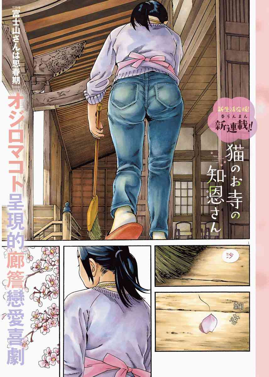 猫之寺的知恩姐1话图