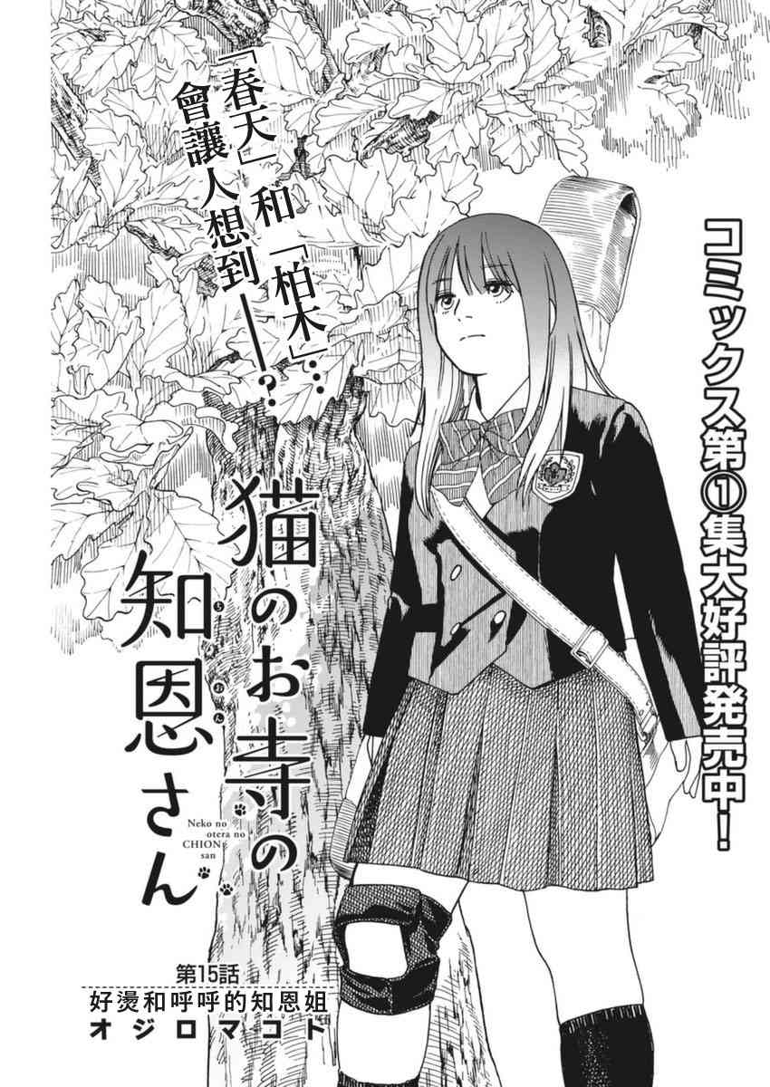 猫之寺的知恩姐15话图