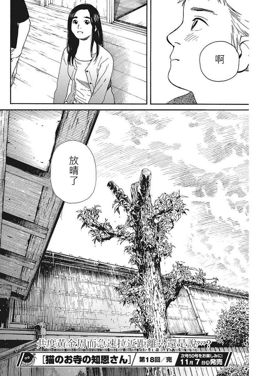 猫之寺的知恩姐18话图