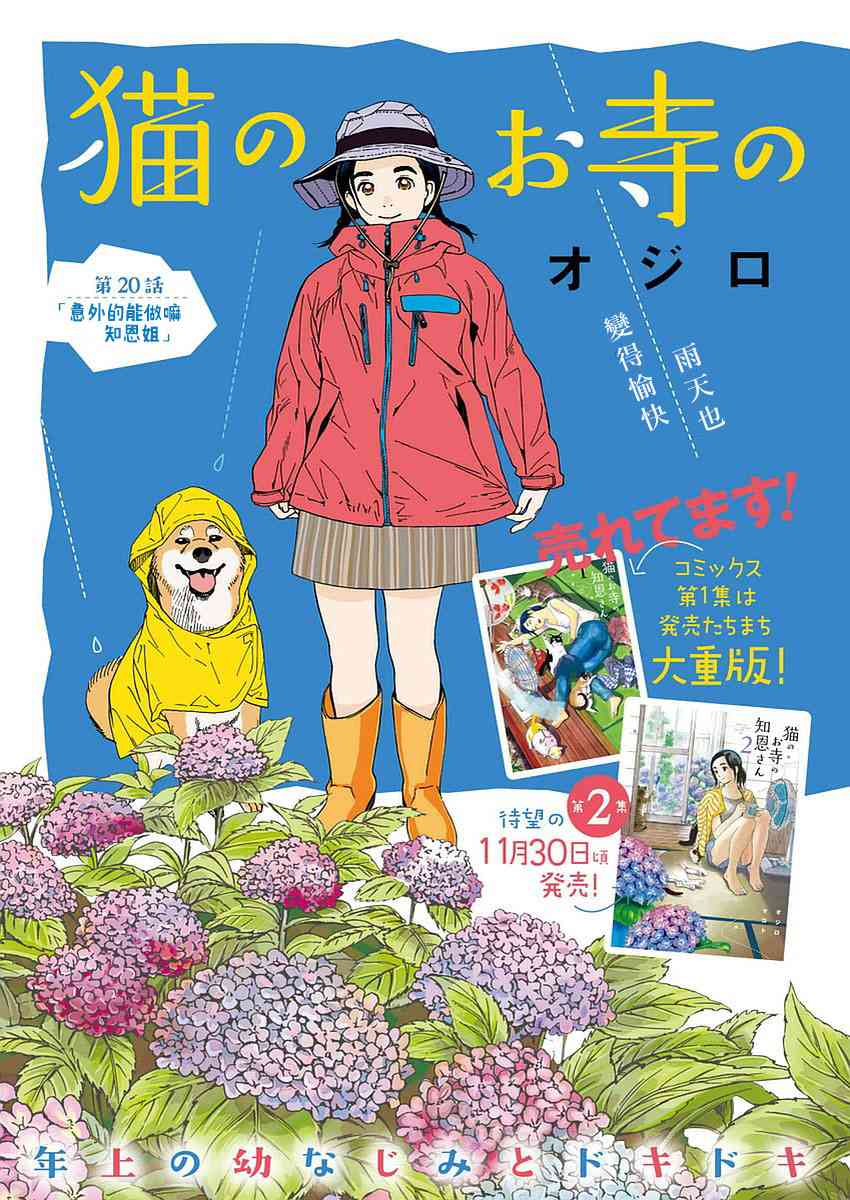 猫之寺的知恩姐20话图