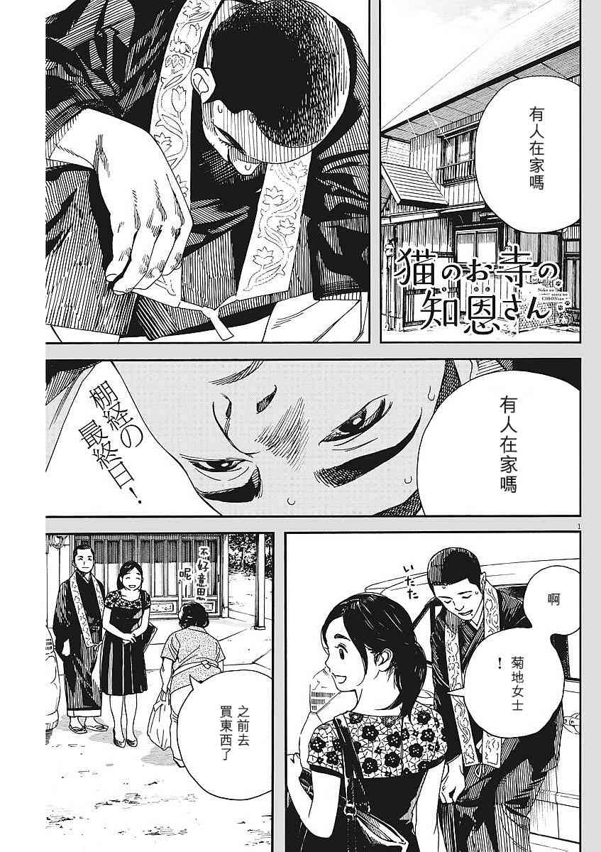 猫之寺的知恩姐42话图
