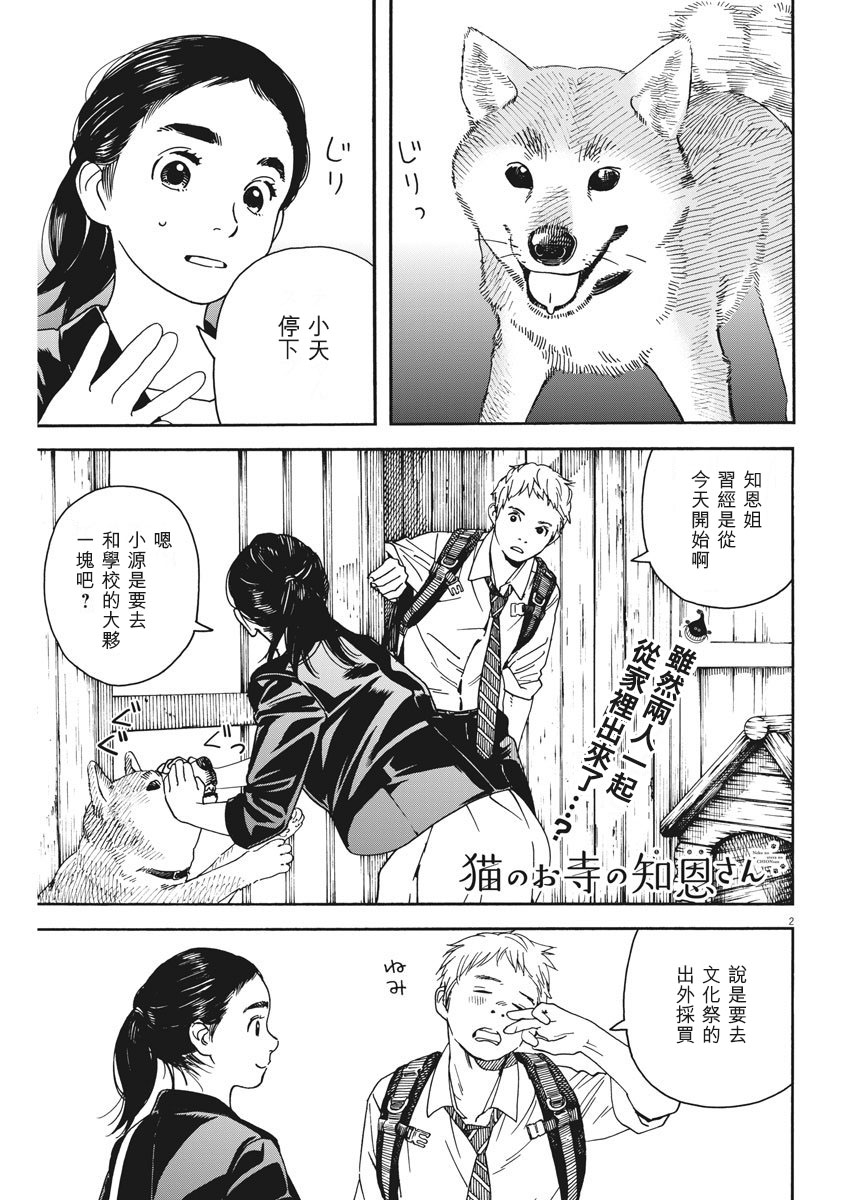 猫之寺的知恩姐49话图