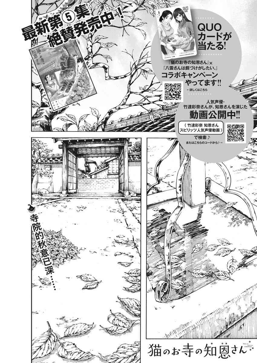 猫之寺的知恩姐50话图
