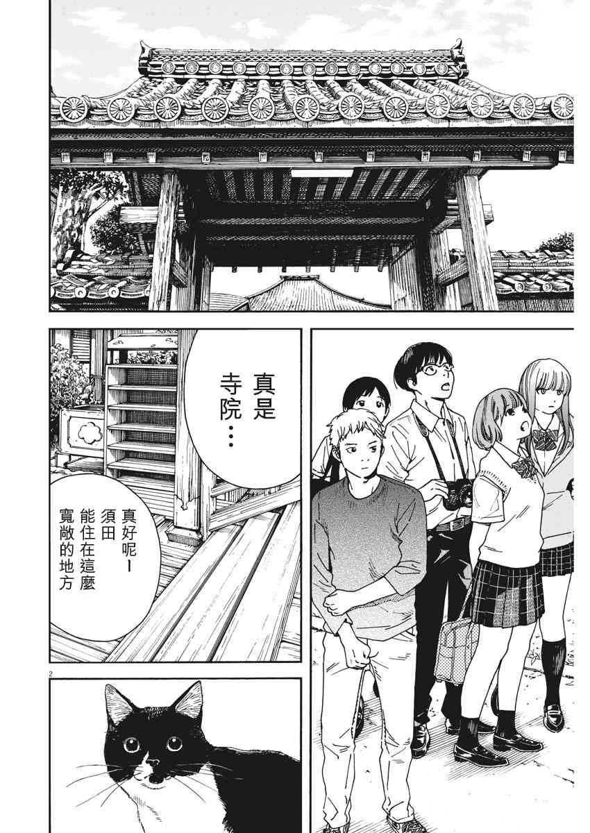 猫之寺的知恩姐50话图