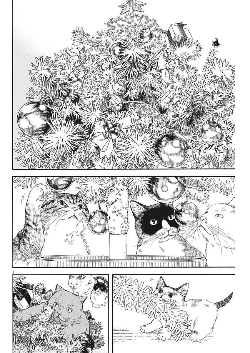 猫之寺的知恩姐59话图